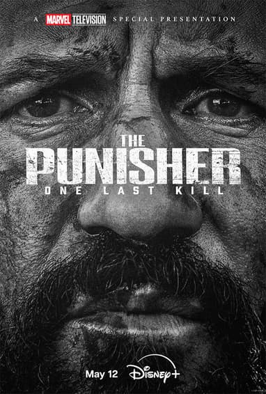 The Punisher: One Last Kill Poster